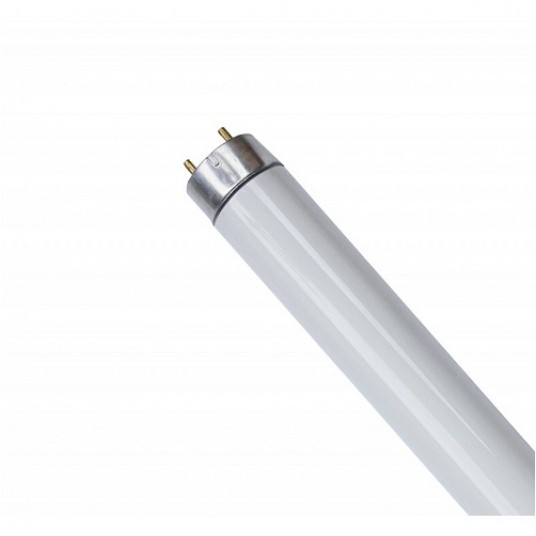 Świetlówka 15W T8 G13 owadobójcza 45cm OXY -zdjęcie numer 1