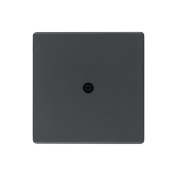 10196086 antracyt Płytka czołowa prz.kabl. BERKER