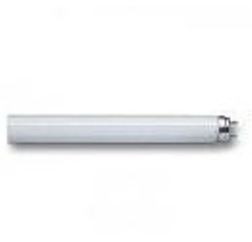 ACTINIC BL TL 8W/10 G5 świetlówka PHILIPS