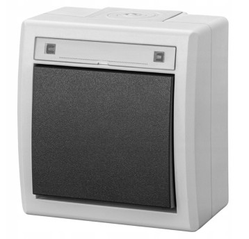 AQUANT 2K IP55 szary Łącz.poj/sch. EP-Na 5001-10