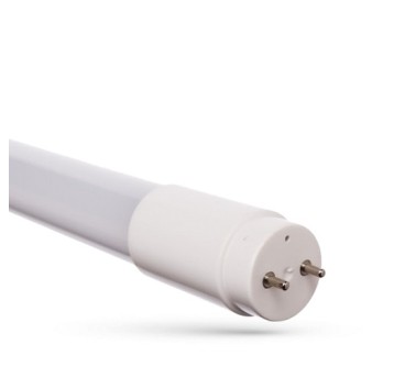 LED Tuba 60cm CW 900lm 8,5W T8 G13 SPECT 113908