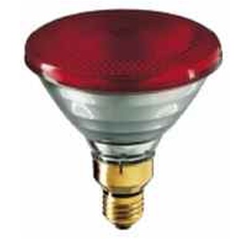 PHILIPS PAR38 175W 230V czerwony promiennik