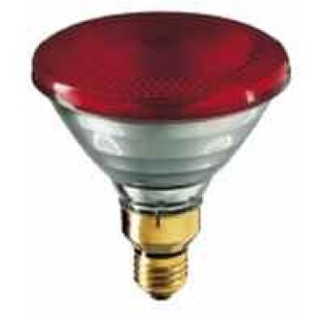 PHILIPS PAR38 175W 230V czerwony promiennik