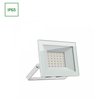 Reflektor LED 30W CW biały IP65 N-LUX4 174626
