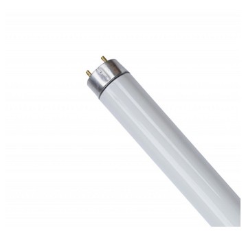 Świetlówka 15W T8 G13 owadobójcza 45cm OXY