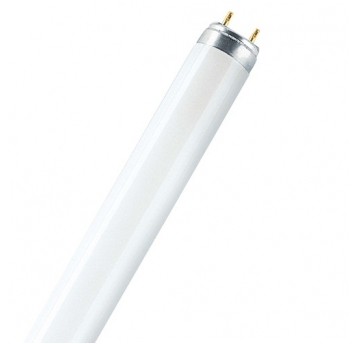 Świetlówka 30W/840 G13 T8 90cm OXY
