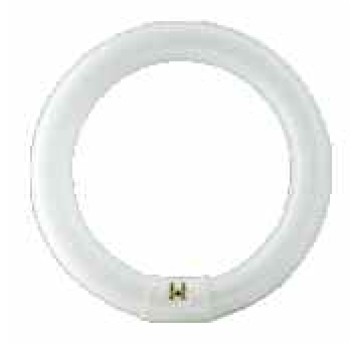 Świetlówka kołowa TL-E 32W/840 G10q PHILIPS