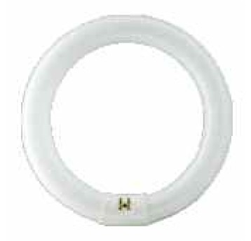 Świetlówka kołowa TL-E 32W/840 G10q PHILIPS