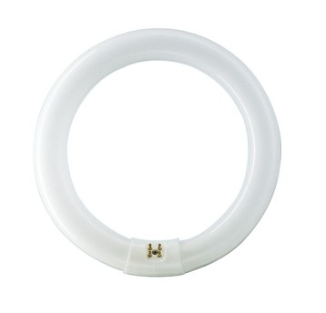 Świetlówka kołowa TL-E 40W/840 G10q PHILIPS