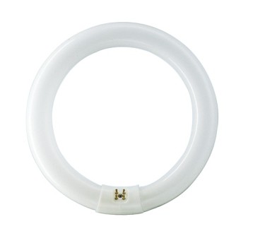 Świetlówka kołowa TL-E 40W/840 G10q PHILIPS