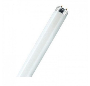 Świetlówka NATURA L-36W/76 lady chłodnicze OSRAM