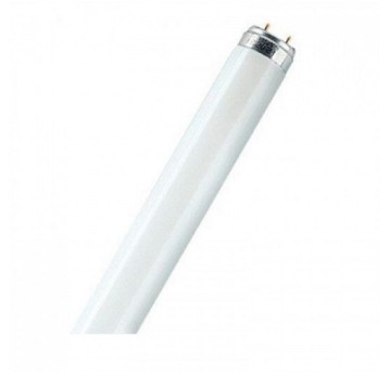 Świetlówka NATURA L-36W/76 lady chłodnicze OSRAM