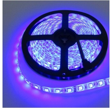 Taśma LED IP63 300SMD2835 nieb. 12V 5m ECOlight