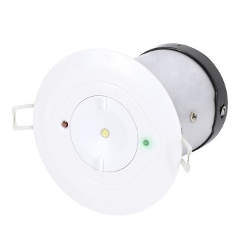 TOLER p/t okrągła 3W 2h AT opt.koryt. 952721