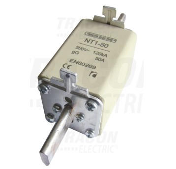 Wkładka BM WT-1 aM 200A NTM1-200 TRACON