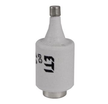 Wkładka topikowa BiWts 16A DII DZ/gF ETI 000143