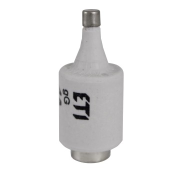 Wkładka topikowa BiWts 6A ETI