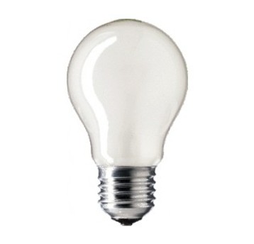 .Żarówka E27 75W matowa 230V wstrząsoodp. SPECTRU